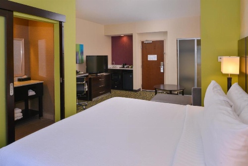 Holiday Inn Little Rock West - Chenal Pkwy image 21